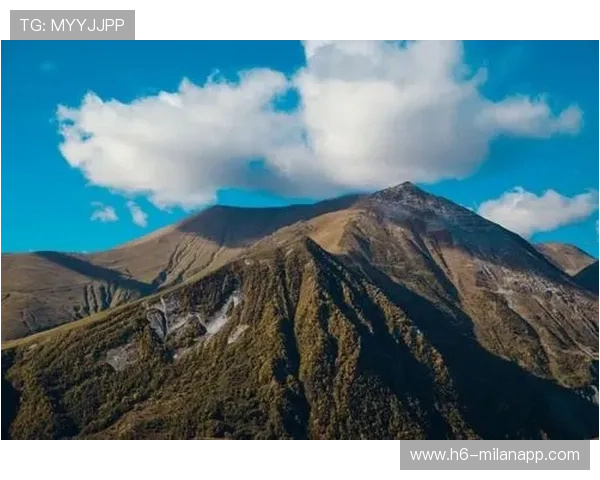 埃因霍温最新战略揭秘：如何强化中路控制争夺赛场主动权？